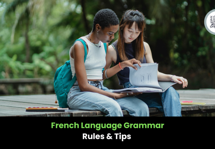 French Language Grammar: Rules And Tips