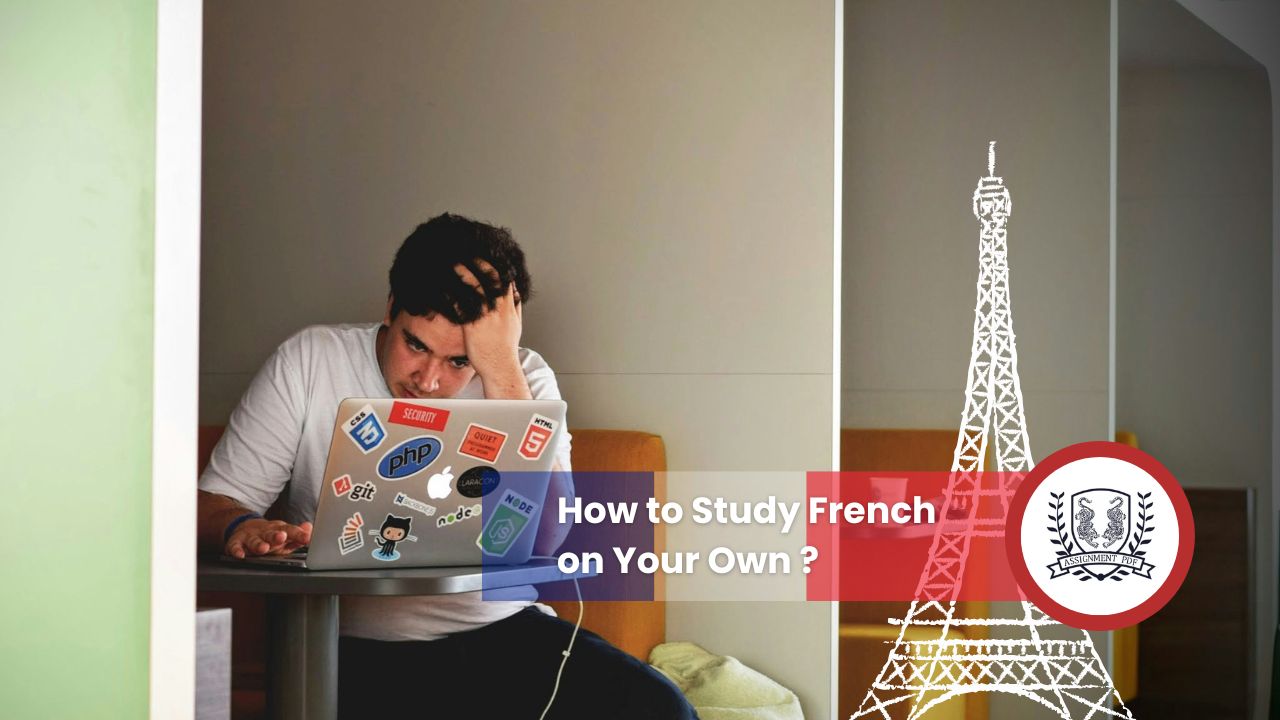 How to Study French on Your Own ?